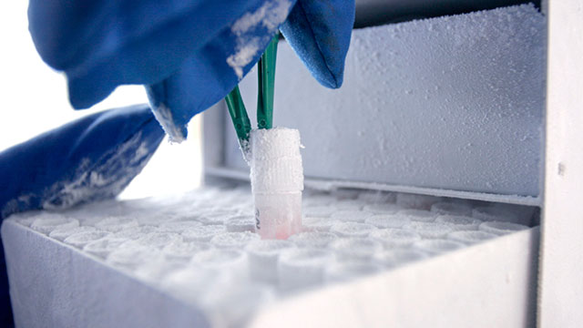 2016產品資源指南:冷藏